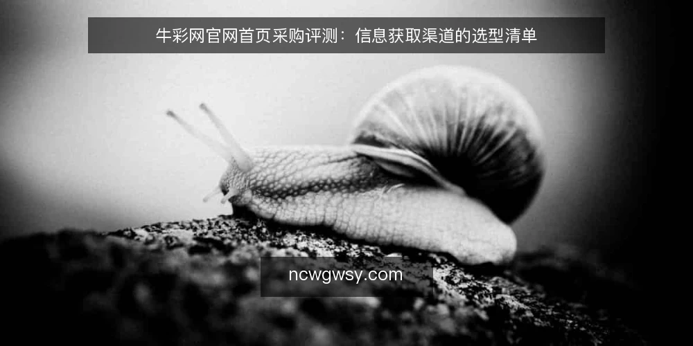 牛彩网官网首页采购评测：信息获取渠道的选型清单 — 为什么现在需要审计信息获取渠道 配图