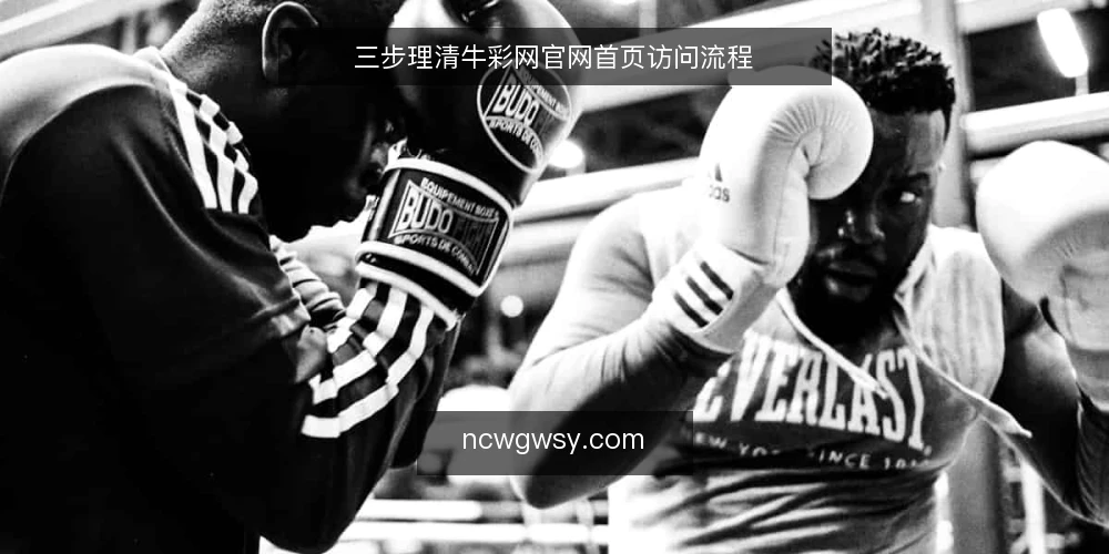 三步理清牛彩网官网首页访问流程 — 现场信号：访问前先确认什么 配图