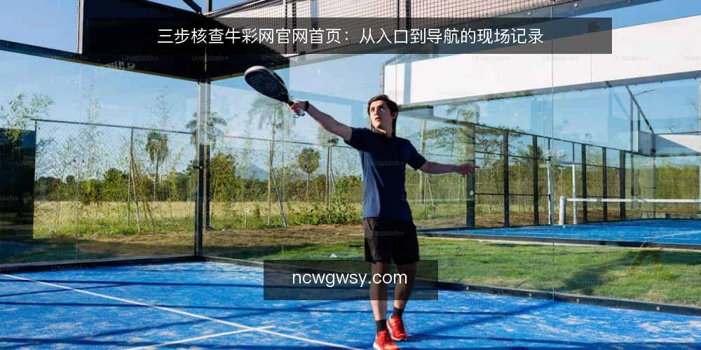三步核查牛彩网官网首页：从入口到导航的现场记录 — 观察信号：首页加载与入口状态 配图