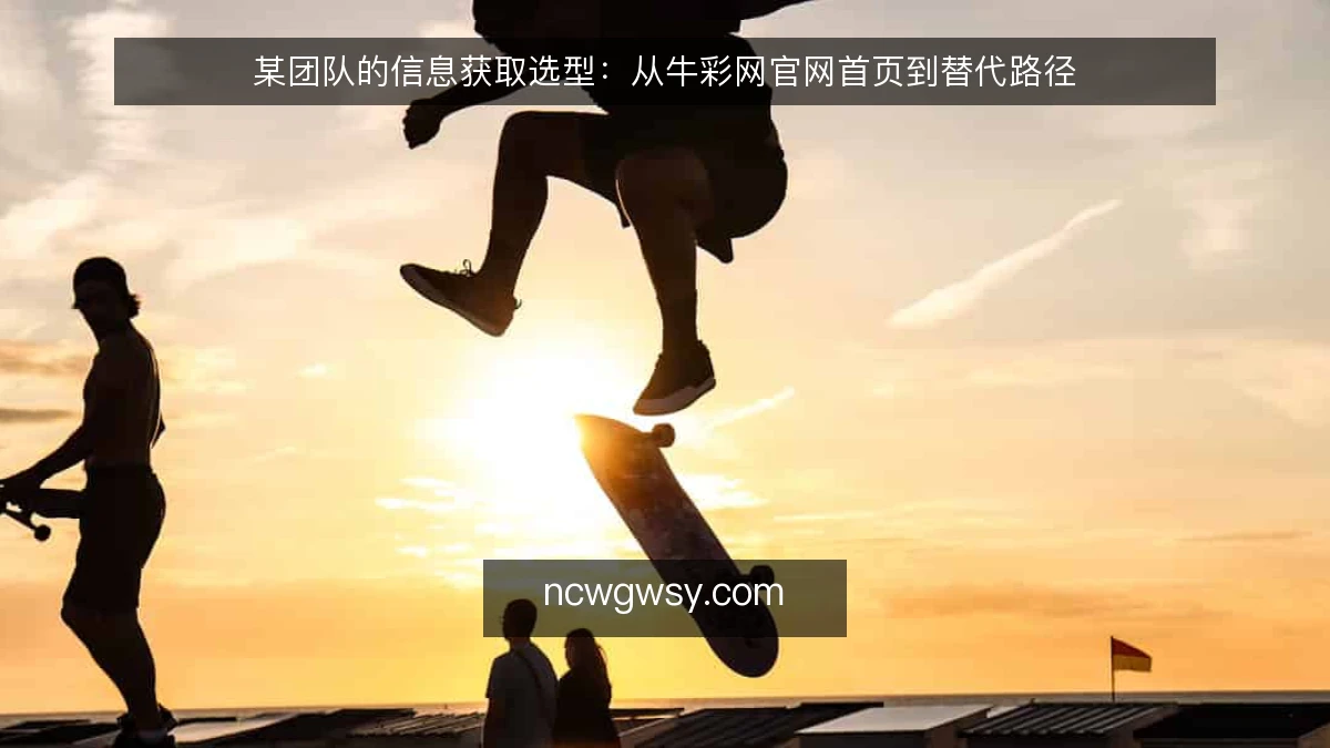 某团队的信息获取选型：从牛彩网官网首页到替代路径