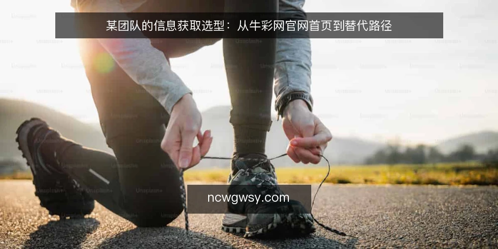 某团队的信息获取选型：从牛彩网官网首页到替代路径 — 场景设定：一个需要持续跟踪行业动态的团队 配图